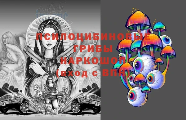 мдпв Вязьма