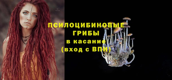 дмт Вяземский