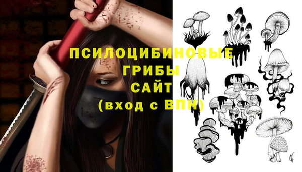 2c-b Волоколамск